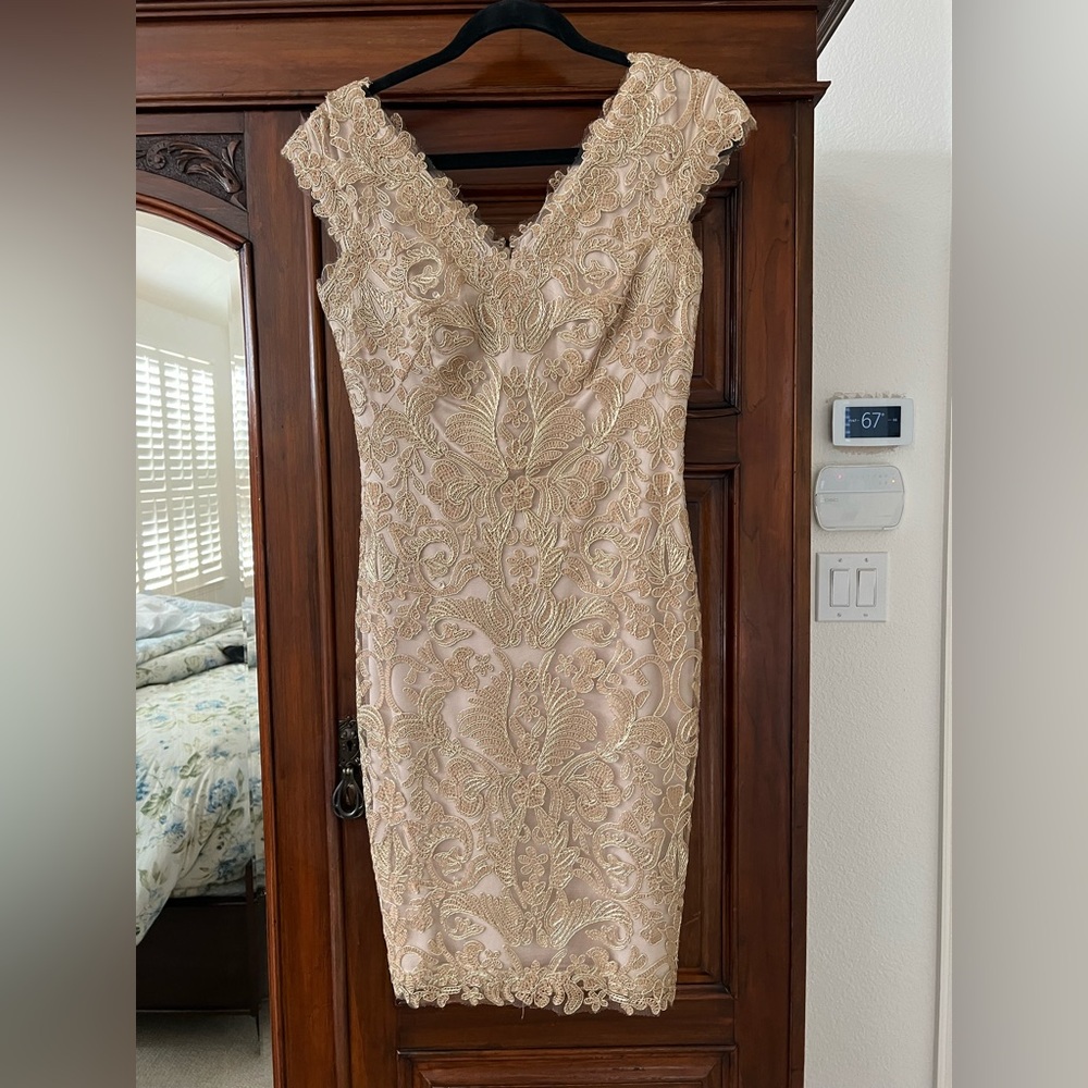LAST CHANCE Tadashi Lace Dress in Gold and Cream